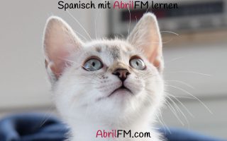 106. Die Katze- Spanisch mit AbrilFM lernen