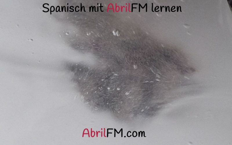 107. Die Katze- Spanisch mit AbrilFM lernen