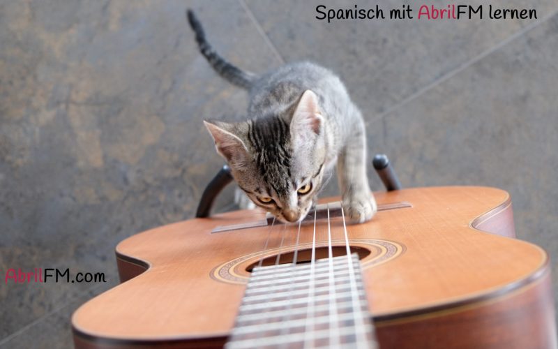 11. Die Katze- Spanisch mit AbrilFM lernen