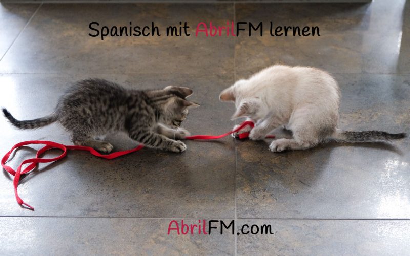 122. Die Katze- Spanisch mit AbrilFM lernen