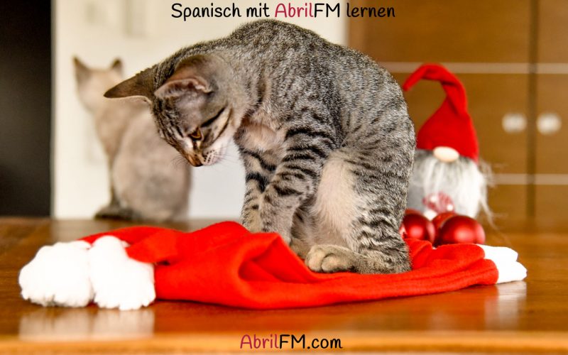 128. Die Katze- Spanisch mit AbrilFM lernen