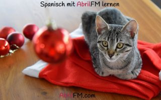 129. Die Katze- Spanisch mit AbrilFM lernen