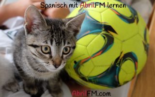 138. Die Katze- Spanisch mit AbrilFM lernen