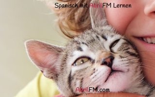 145. Die Katze- Spanisch mit AbrilFM lernen