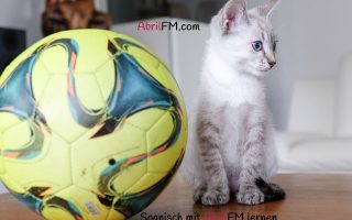 153. Die Katze- Spanisch mit AbrilFM lernen