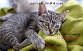 163. Die Katze- Spanisch mit AbrilFM lernen