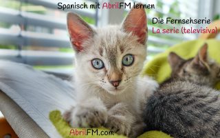 165. Die Katze- Spanisch mit AbrilFM lernen