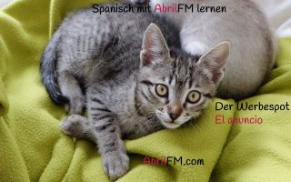 166. Die Katze- Spanisch mit AbrilFM lernen
