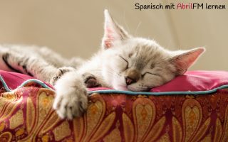 31. Die Katze- Spanisch mit AbrilFM lernen