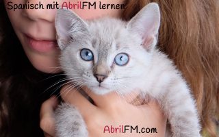44. Die Katze- Spanisch mit AbrilFM lernen