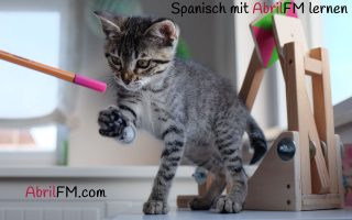 47. Die Katze- Spanisch mit AbrilFM lernen