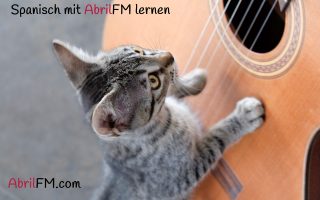 61. Die Katze- Spanisch mit AbrilFM lernen