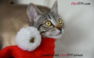 65. Die Katze- Spanisch mit AbrilFM lernen