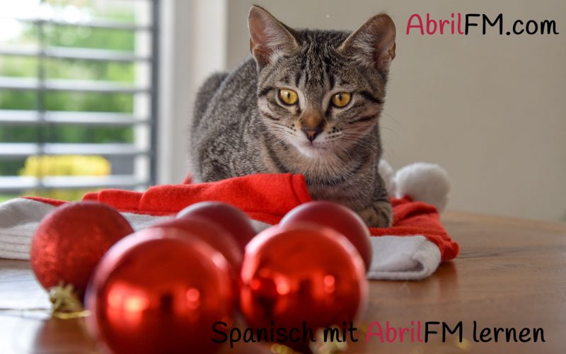66. Die Katze- Spanisch mit AbrilFM lernen