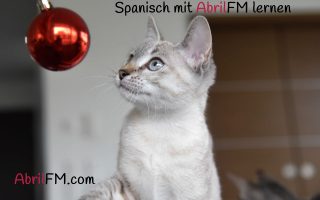 67. Die Katze- Spanisch mit AbrilFM lernen