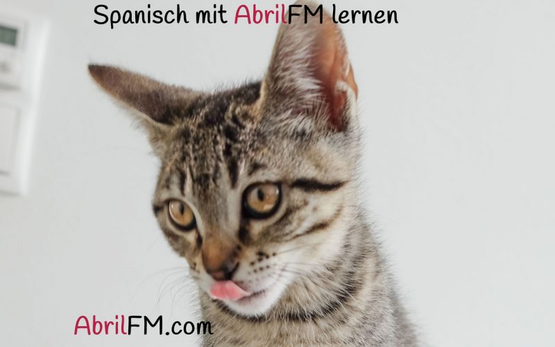 76. Die Katze- Spanisch mit AbrilFM lernen