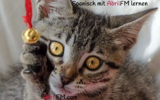 86. Die Katze- Spanisch mit AbrilFM lernen