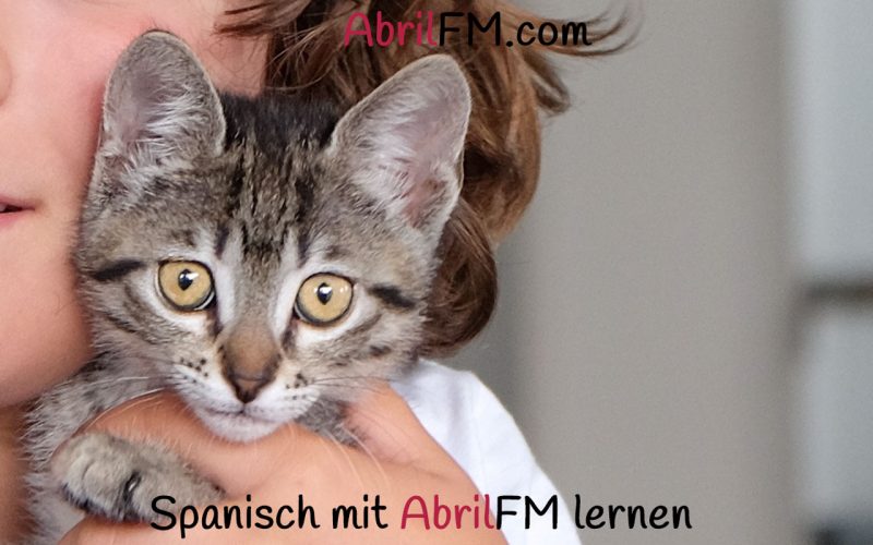 97. Die Katze- Spanisch mit AbrilFM lernen